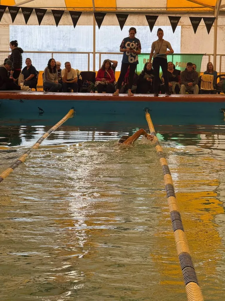 Olimpiadas natacion 03